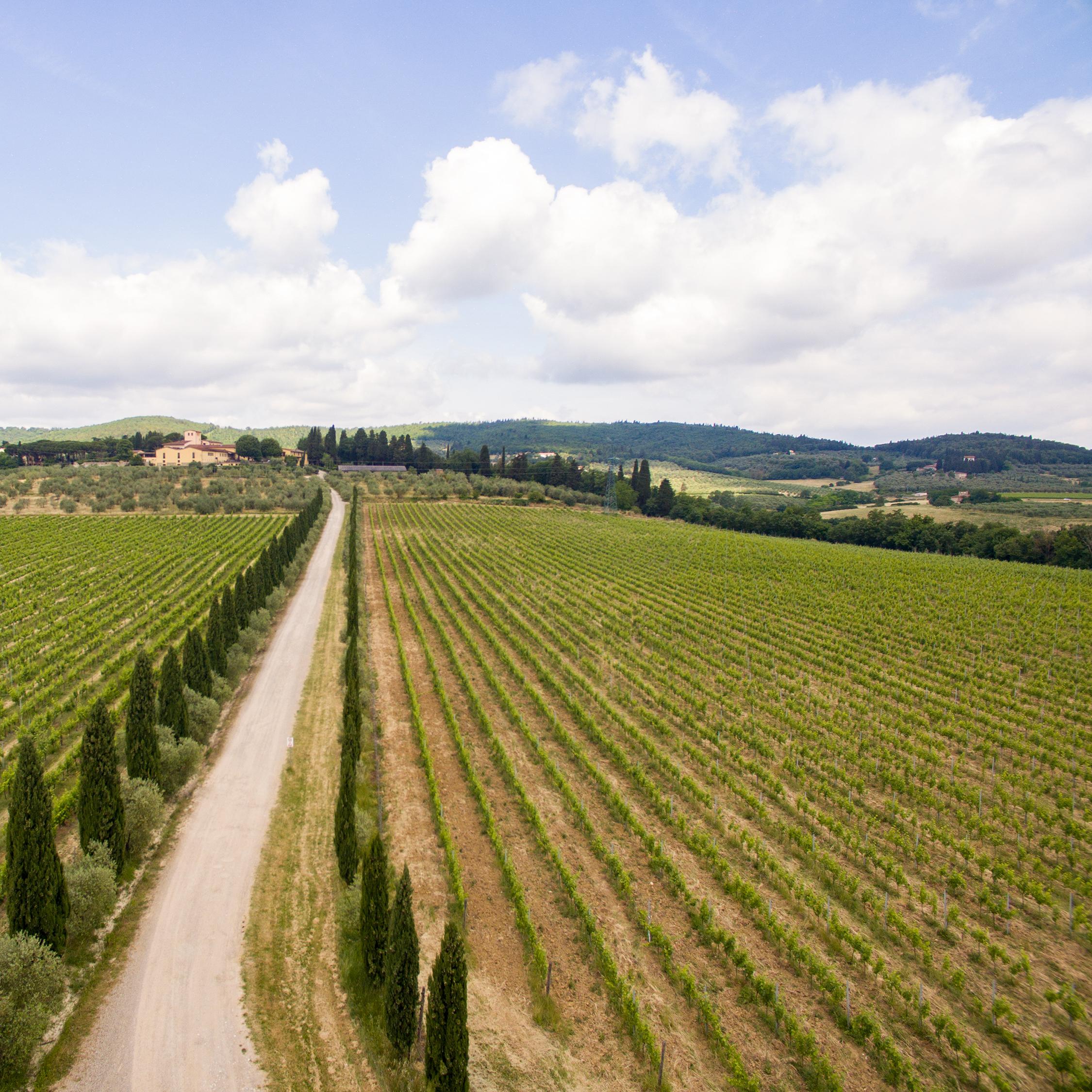 Vendita Vino Chianti | Fattoria Pagnana vendita diretta di vino a Firenze, Toscana