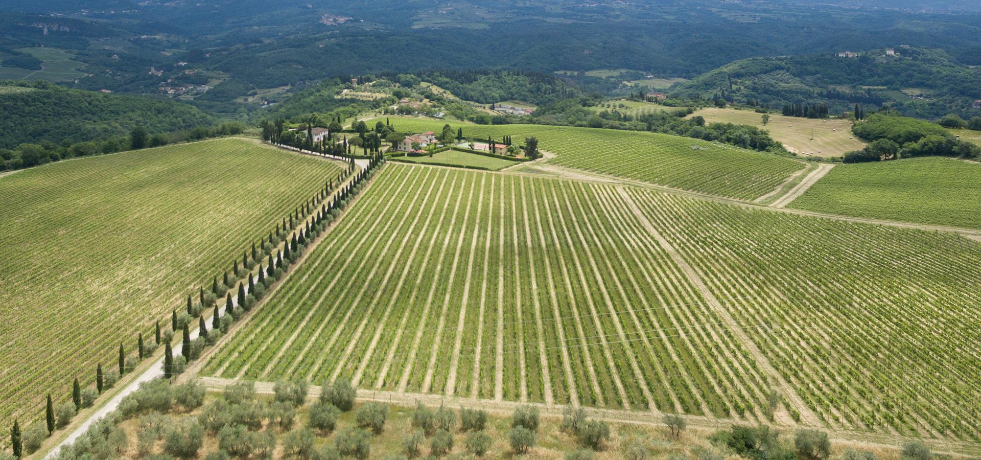 Sale of  Chianti | Fattoria Pagnana – on site sales of wine, Florence, Tuscany